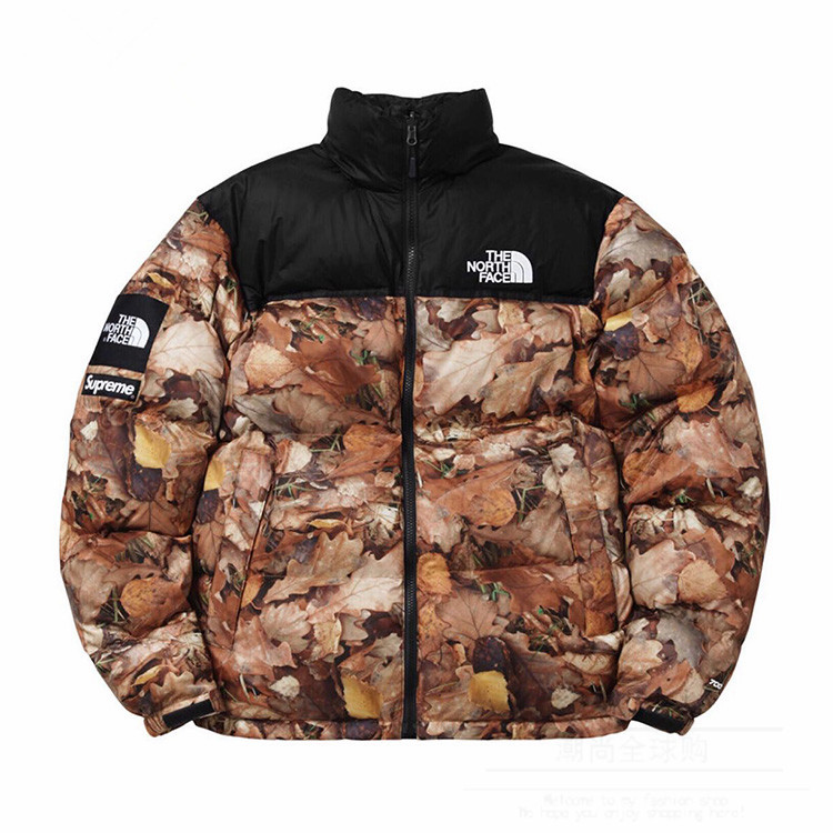 the north face by supreme